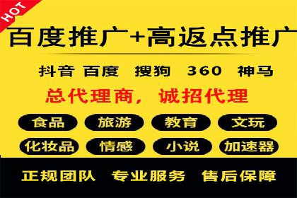 某企业SEM广告投放的ROI提升策略及效果展示